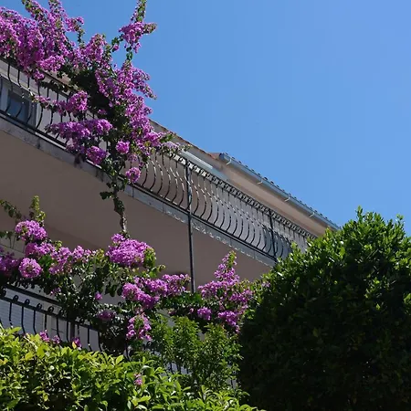 Apartments Gusic Flat *